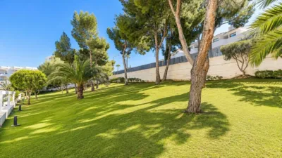 Apartment in Cala Vinyes photo 25