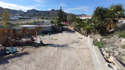 Rustic finca in Leiva photo 25