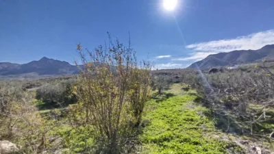 Rustic finca in Leiva photo 6