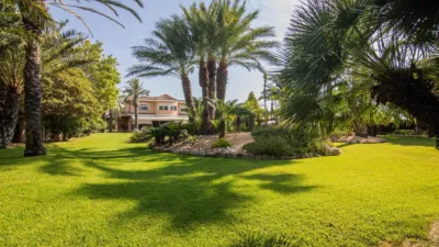 Casa – Elx - Elche - Més