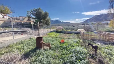 Rustic finca in Leiva photo 32