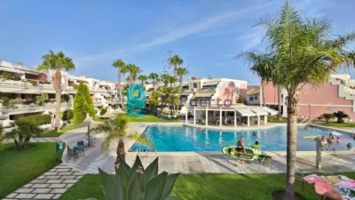Apartment in Bahía photo 2