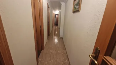 Apartment in Sant Marcellí photo 36