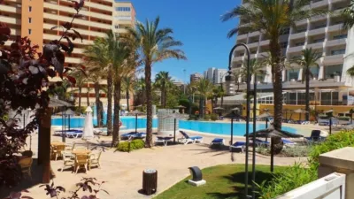 Apartment on Calle de Xabia photo 20