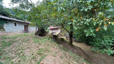 House on Las Barrietas Street photo 25