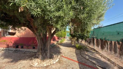 Chalet in San Juan Pueblo photo 60