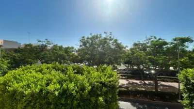 Apartment in Centro Ejido photo 33