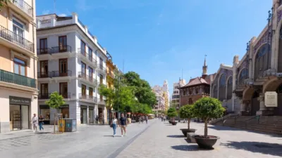 Apartment in Plaza del Mercado photo 3