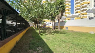 Townhouse in Playa de Gandia photo 41