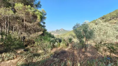Casa – Alcoi / Alcoy, l'Alcoià - Vista 5
