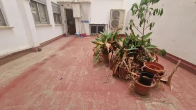 Apartment in Sant Marcellí photo 25