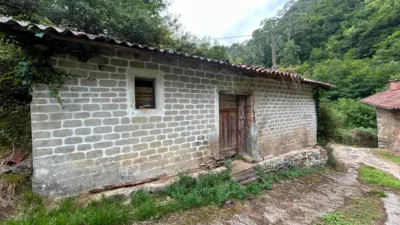 House on Las Barrietas Street photo 8