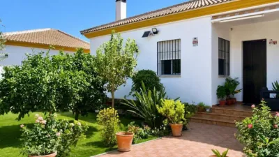 Chalet in Hinojos photo 31