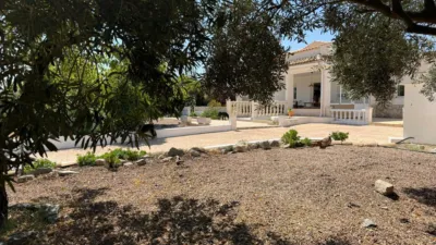 Chalet in Pla Lloma photo 15