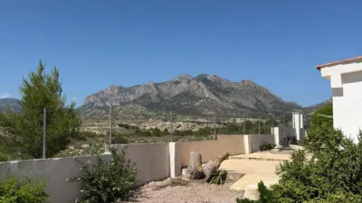 Chalet in Pla Lloma photo 18