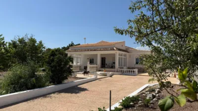 Chalet in Pla Lloma photo 16