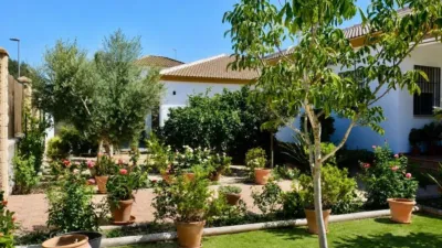 Chalet in Hinojos photo 8