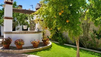 Chalet in Hinojos photo 22