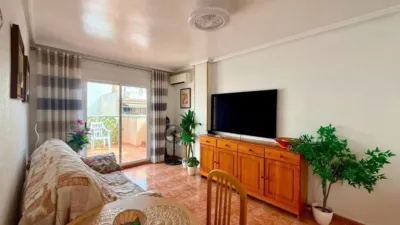Pis – Torrevieja - Vista 3