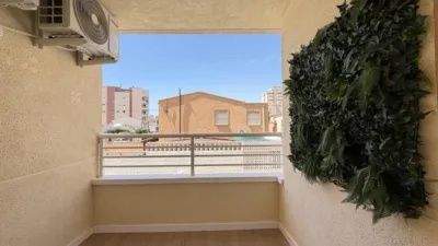 Pis – Torrevieja - Més