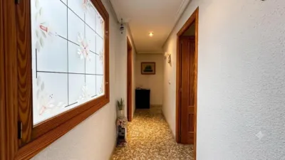 Pis – Elx - Elche - Vista 4