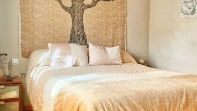 Apartment in San Pablo photo 9