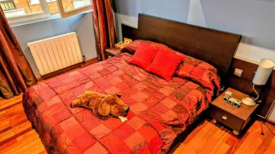Apartment in the City Centre photo 28