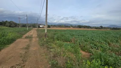 Rustic Finca in Búger photo 39