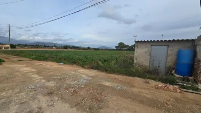 Rustic Finca in Búger photo 30