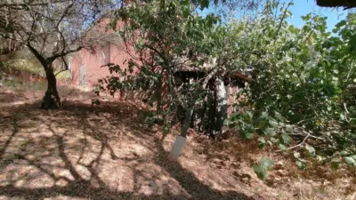 Finca rústica en Pueblos photo 27