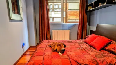 Apartment in the City Centre photo 26