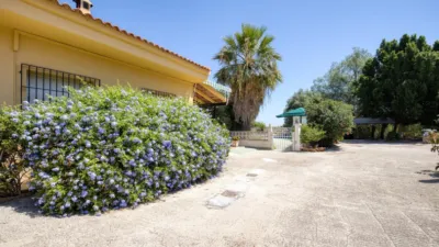 Chalet on Calle Barrio Lo Marques La Matanza 17 Cv-868 photo 32