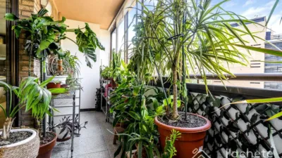 Apartment on Avenida del Primat Reig photo 22
