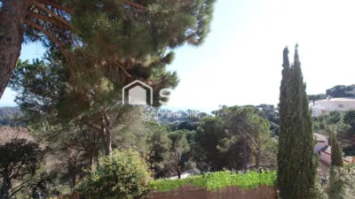 Single-family home in Roca Grossa-Serra Brava photo 21