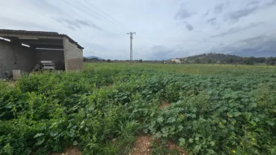 Rustic Finca in Búger photo 2