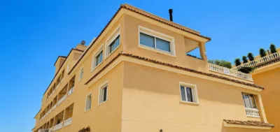 Pis – Orihuela - Vista 2