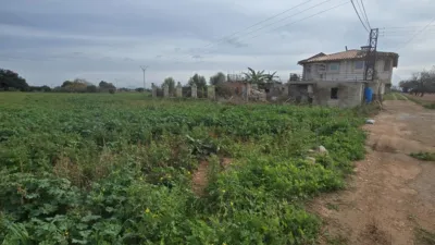 Rustic Finca in Búger photo 35