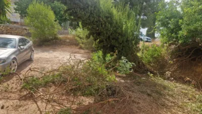 Chalet in Monte Real photo 17