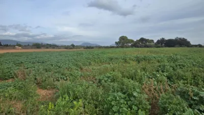 Rustic Finca in Búger photo 38