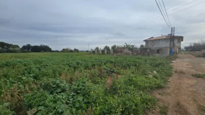 Rustic Finca in Búger photo 11
