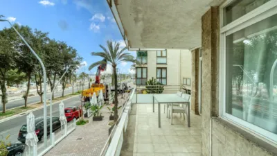 Apartment on Avinguda de Gabriel Roca photo 5