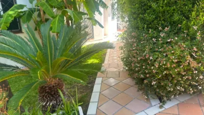 Terraced house in La Barrosa photo 2