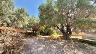 Chalet in Vistahermosa photo 37