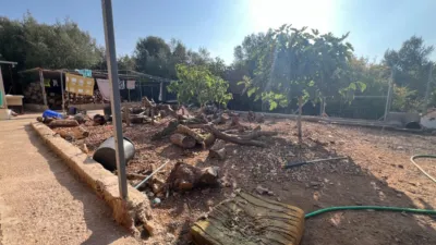 Rustic Finca in La Fanecada photo 41