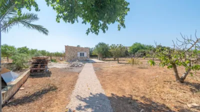 Rustic Finca in Binissalem photo 81