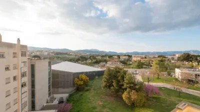 Penthouse on Carrer d'Anselm Turmeda photo 5