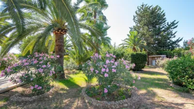 Rustic Finca in Binissalem photo 57