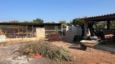 Rustic Finca in La Fanecada photo 36