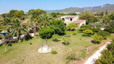 Rustic Finca in Binissalem photo 10