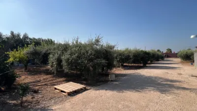 Rustic Finca in La Fanecada photo 38